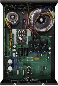 Alternative view of Rogue Audio DragoN Monoblock Amplifiers (Black, PAIR)