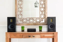 MartinLogan Forte Powerful Wireless Amplifier -Gallo Acoustics shop Forte5