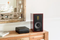 MartinLogan Forte Powerful Wireless Amplifier -Gallo Acoustics shop Forte6