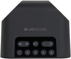 Bluesound PULSE FLEX 2i Portable Wireless Multi-Room Music Streaming Speaker (Black) -Gallo Acoustics shop PULSEFLEX2iBlack4