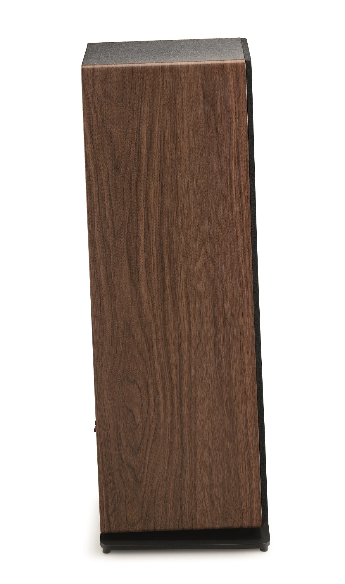 FOCAL Vestia N°2 3-way Floorstanding Speaker (Dark Wood, EACH) 5 FOCAL Vestia N°2 3-way Floorstanding Speaker (Dark Wood, EACH) - Image 3