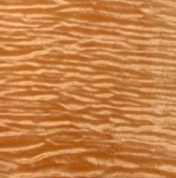 Legacy Audio Signature SE Floorstanding Speakers (Premium Finishes) 14 Legacy Audio Signature SE Floorstanding Speakers (Premium Finishes) -Gallo Acoustics shop curlymaple 1