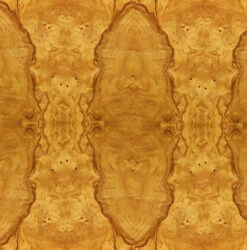 Legacy Audio Phantom HD On-Wall Speakers (Exotic Finishes) -Gallo Acoustics shop oliveashburl